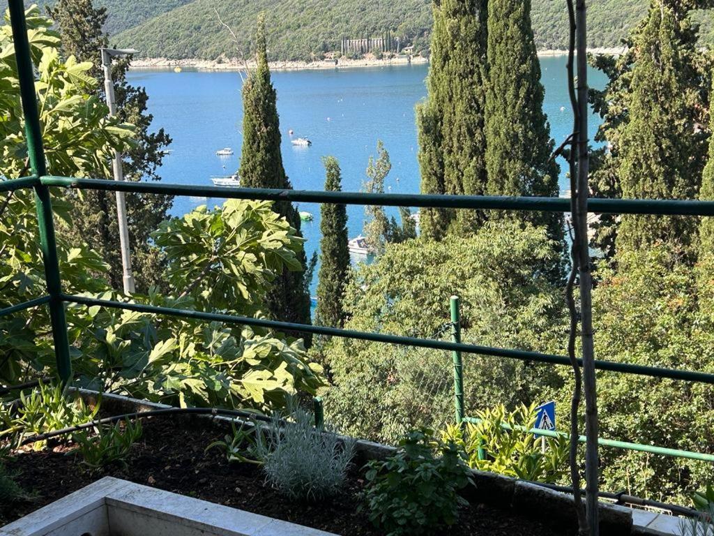 Apartment Near The Sea 650 ラバック エクステリア 写真